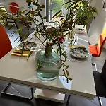 Dans Un Ecrin De Verdure Angrie