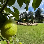 Dans Un Ecrin De Verdure Nocleg ze śniadaniem Angrie