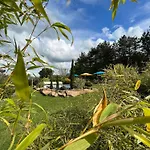 Dans Un Ecrin De Verdure