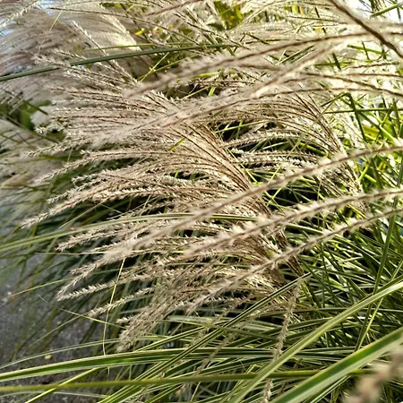 Dans Un Ecrin De Verdure 3*