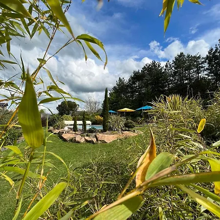 Dans Un Ecrin De Verdure