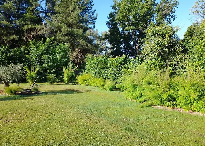 Dans Un Ecrin De Verdure Отель типа 