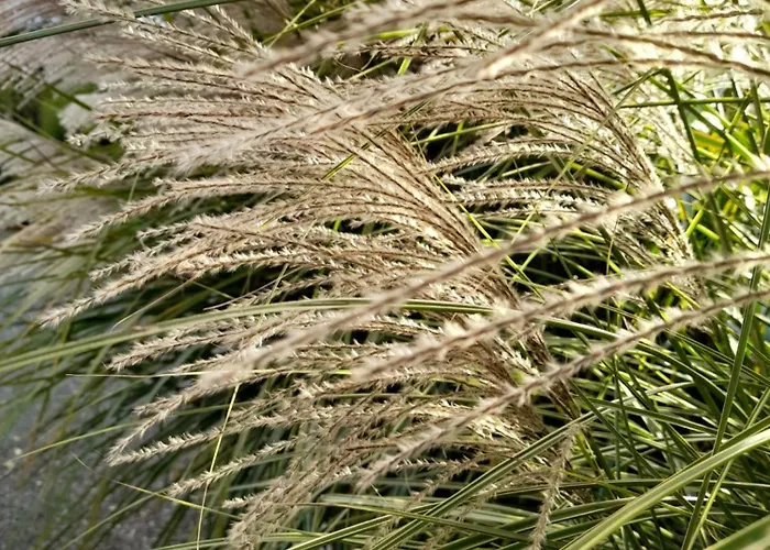 Dans Un Ecrin De Verdure 3*