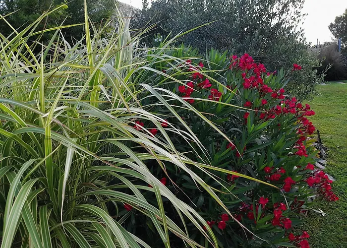 Dans Un Ecrin De Verdure 3* Angrie