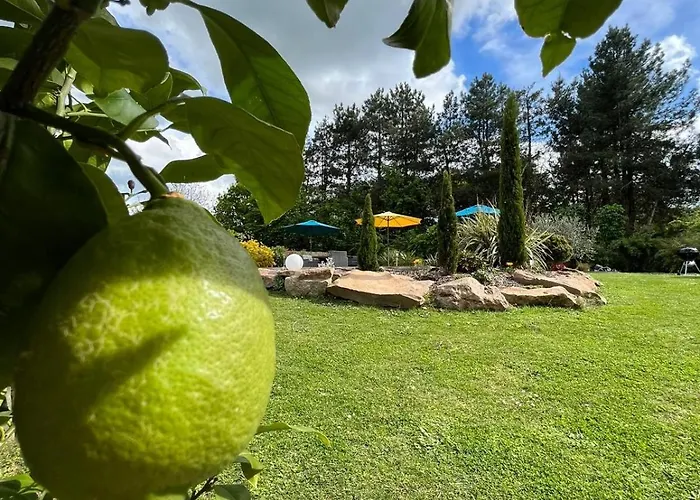 Dans Un Ecrin De Verdure Отель типа 