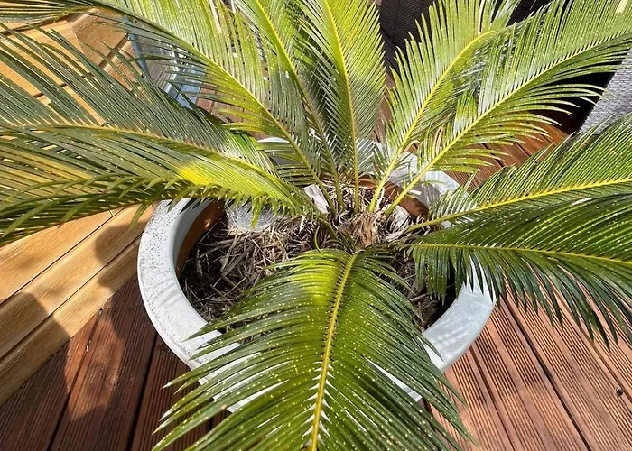 Dans Un Ecrin De Verdure Angrie